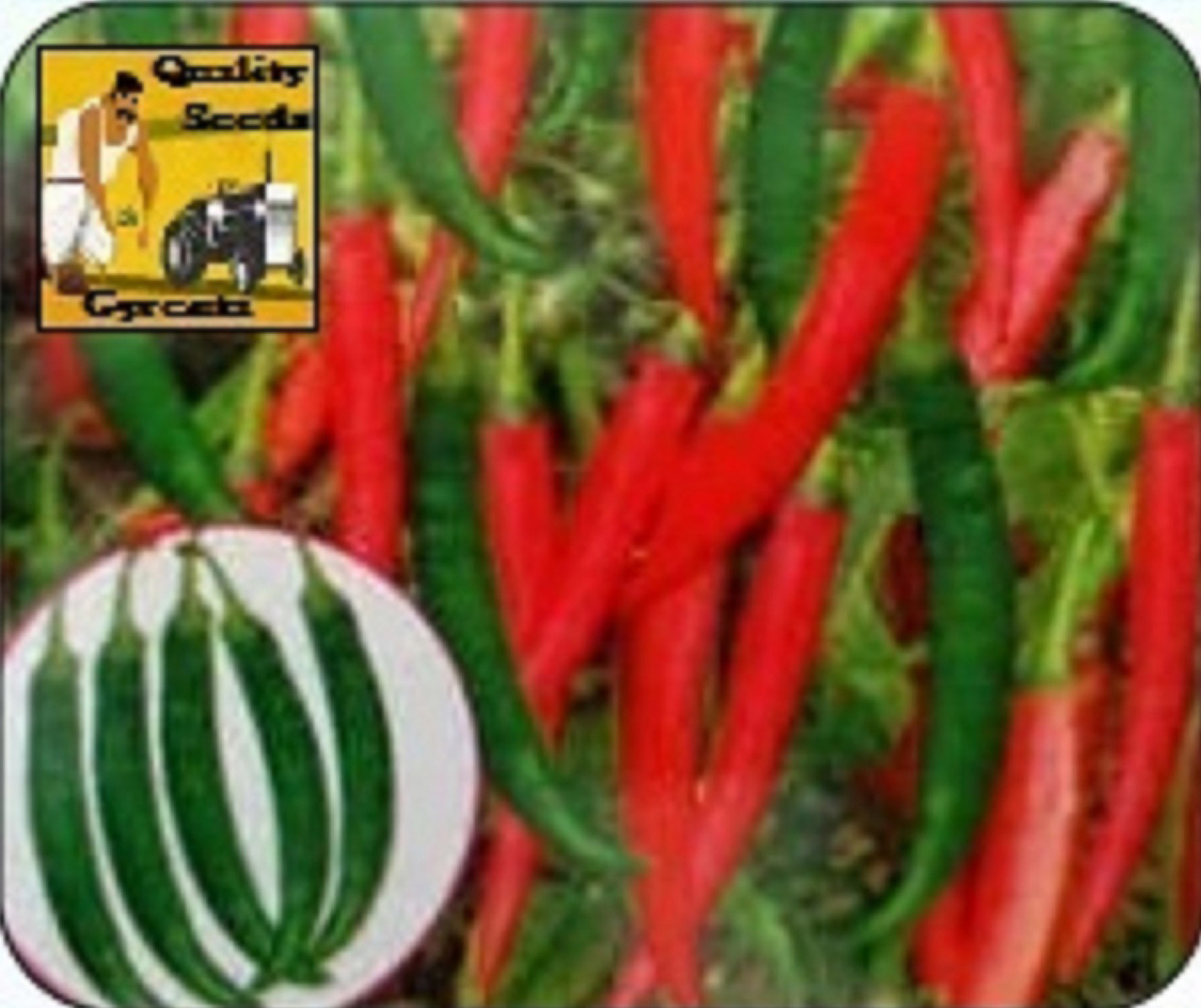 CHILLI