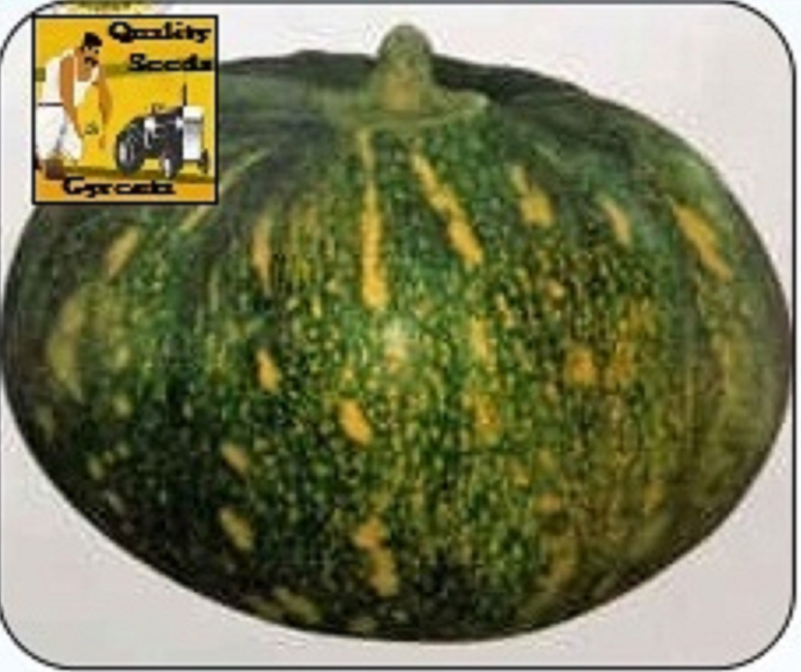 PUMPKIN