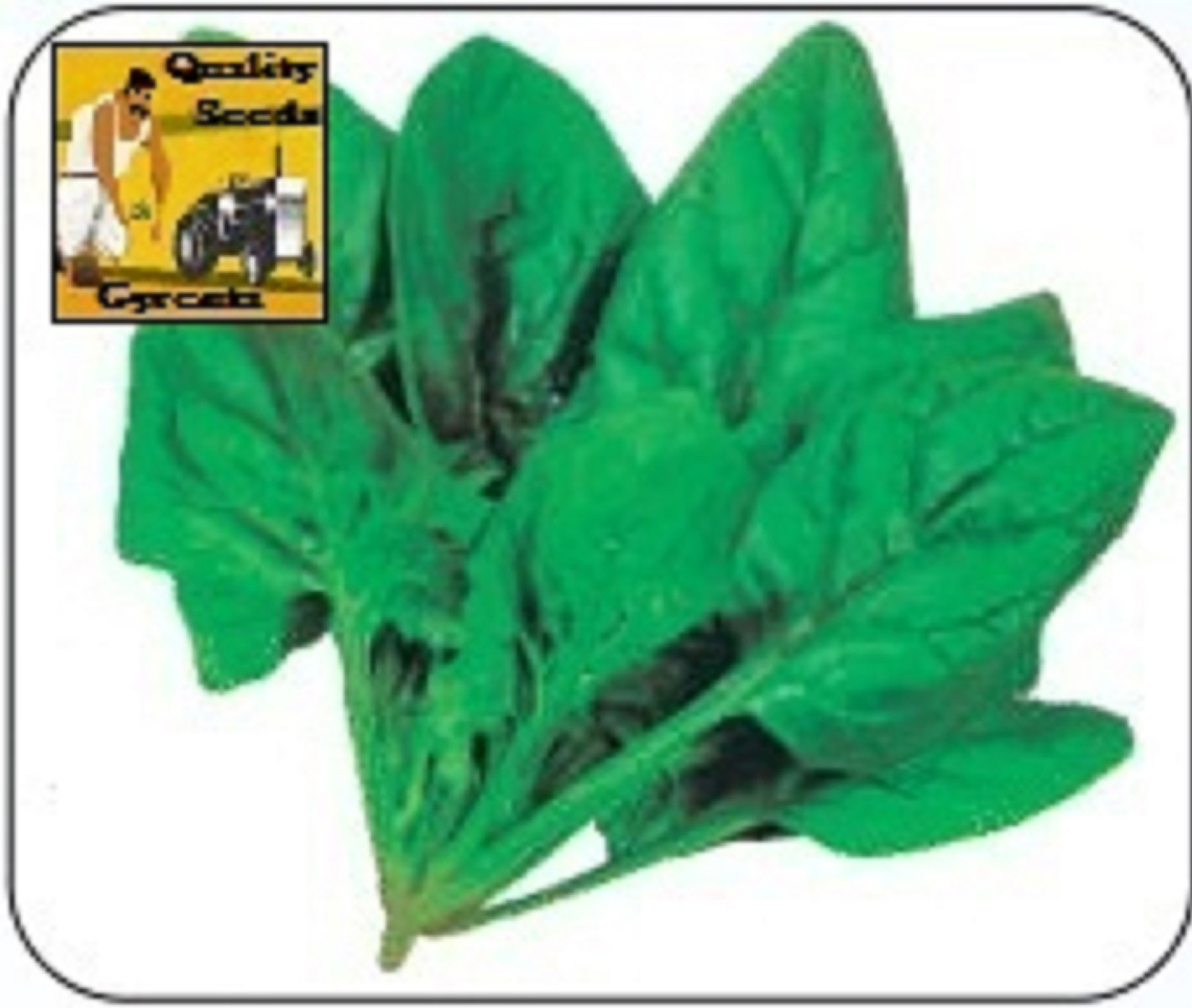 PALAK